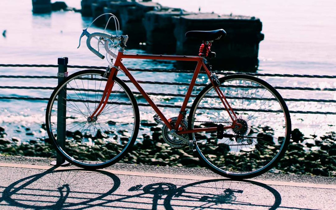 Senado Aprueba Ley Para Instalar Ciclopuertos