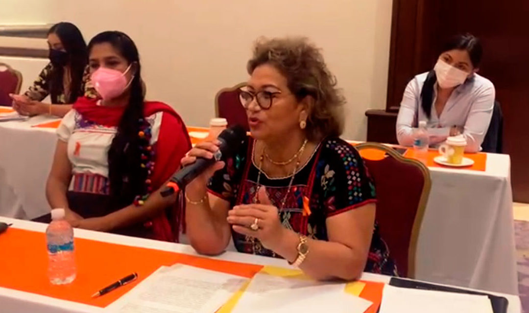 Exigir espacios de participación de las mujeres en política no es dádiva: Adela Román