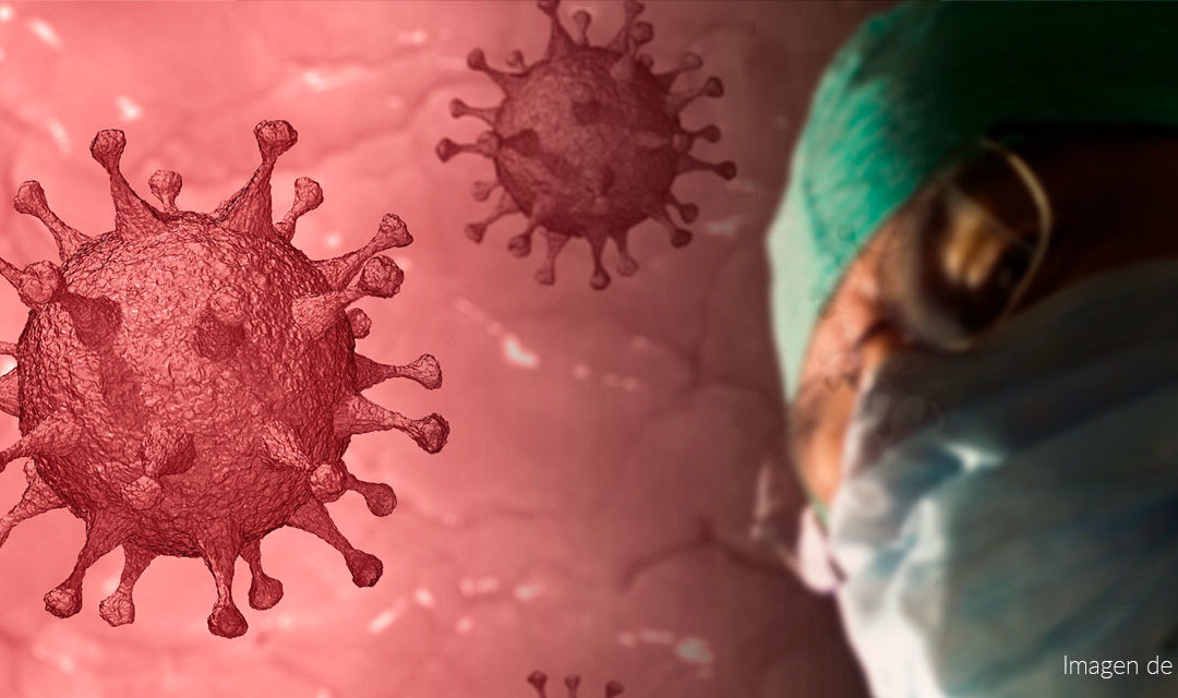 Resultados de encuesta en Internet sobre el Covid19