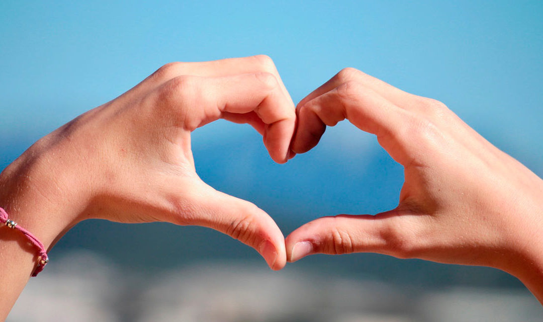 EL SENTIDO DE AYUDAR